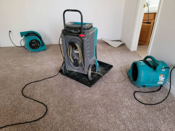 Best Water damage contractors near me  in Geronimo, OK