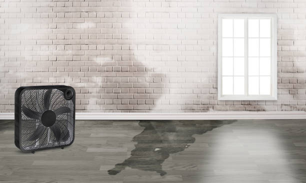Best Ceiling water damage repair  in Geronimo, OK