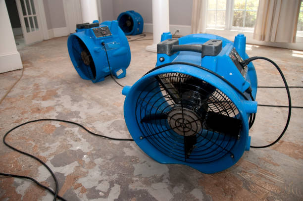  Geronimo, OK Water damage restoration Pros