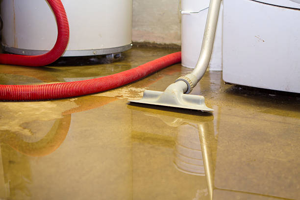 Best Local water damage restoration  in Geronimo, OK