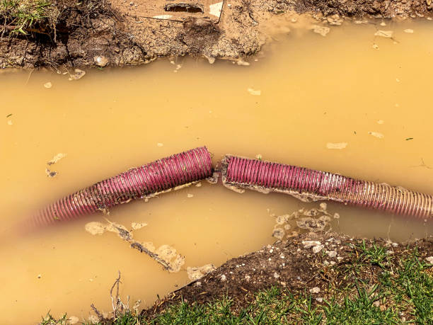 Best Commercial water damage restoration  in Geronimo, OK