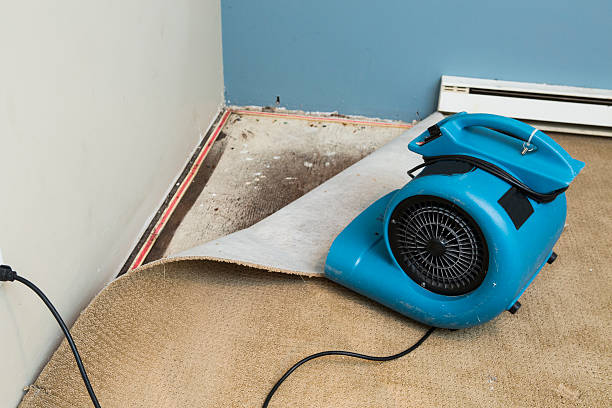 Best Mold removal after water damage  in Geronimo, OK